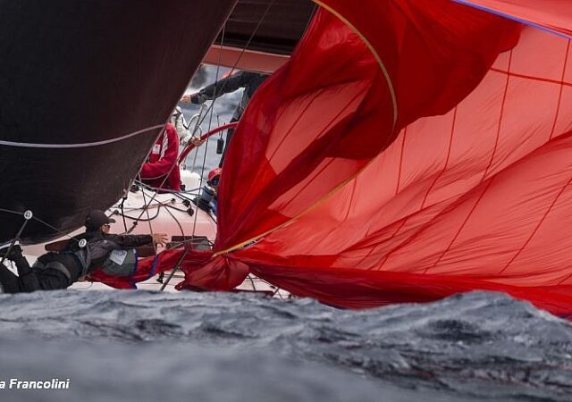 Sydney Regatta Conspiracy