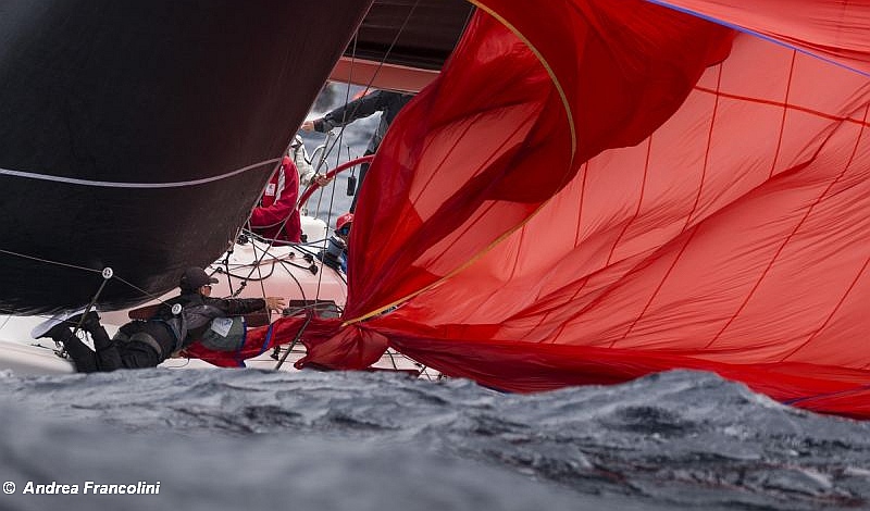 Sydney Regatta Conspiracy