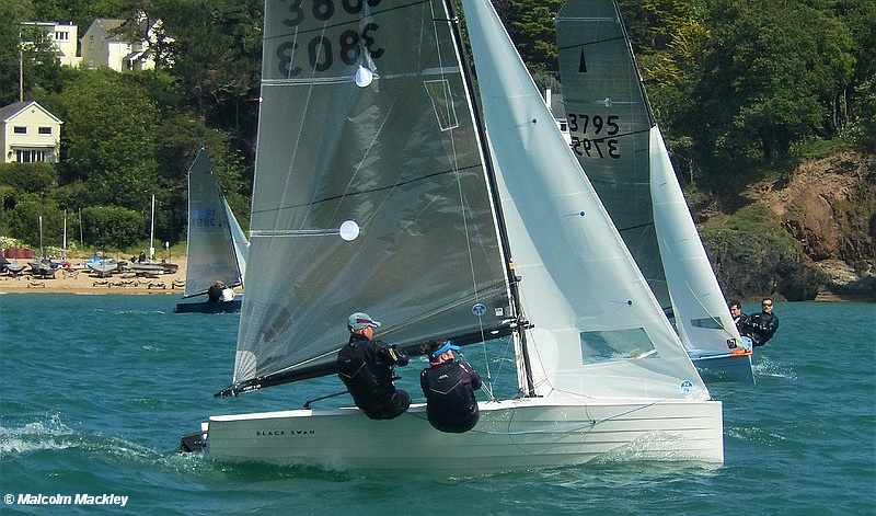 Merlin Rocket 3803 - Salcombe Week