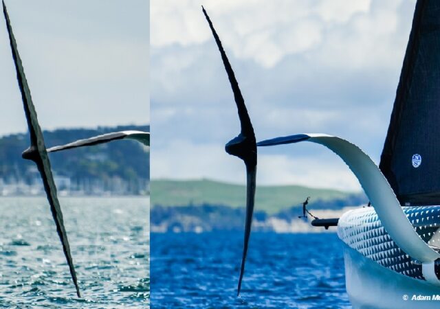 ETNZ AC40 Compare Foils Nov 2022