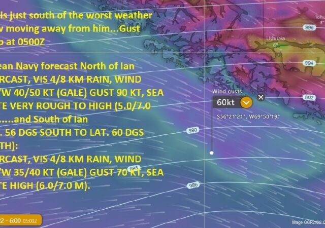 GGR2022 Tracker Puffin