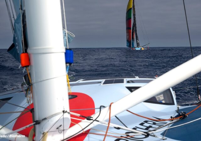 2023 Ocean Race - Biothem