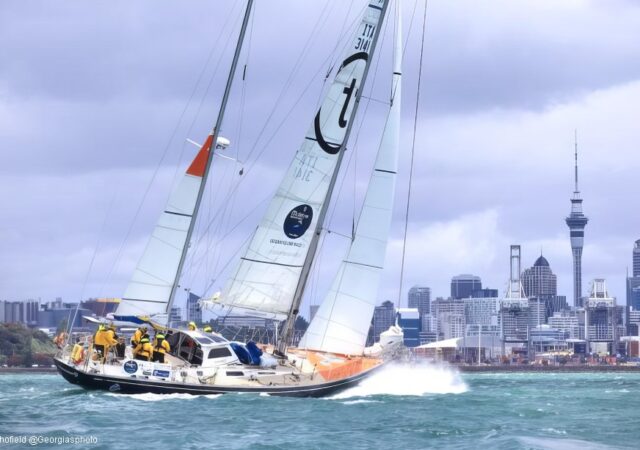 OGR Translated 9 Arrival Auckland 2023