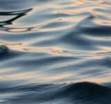 Wave Smooth