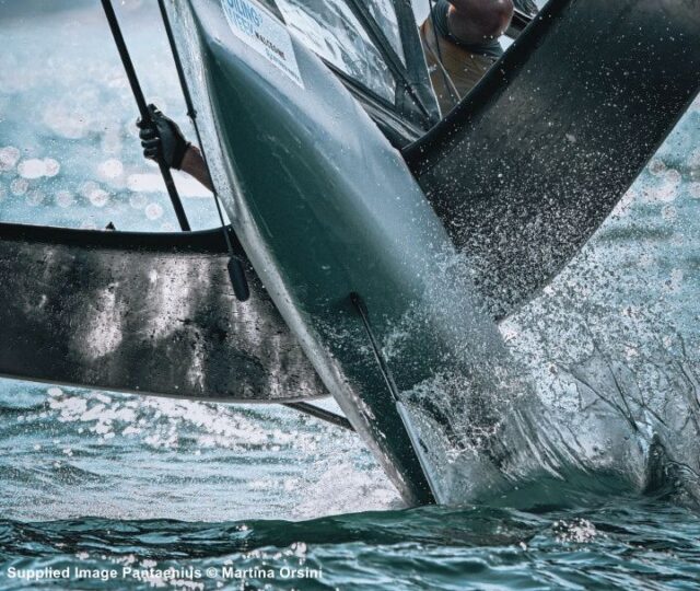 Pantaenius Image Award Moth Martina Orsini